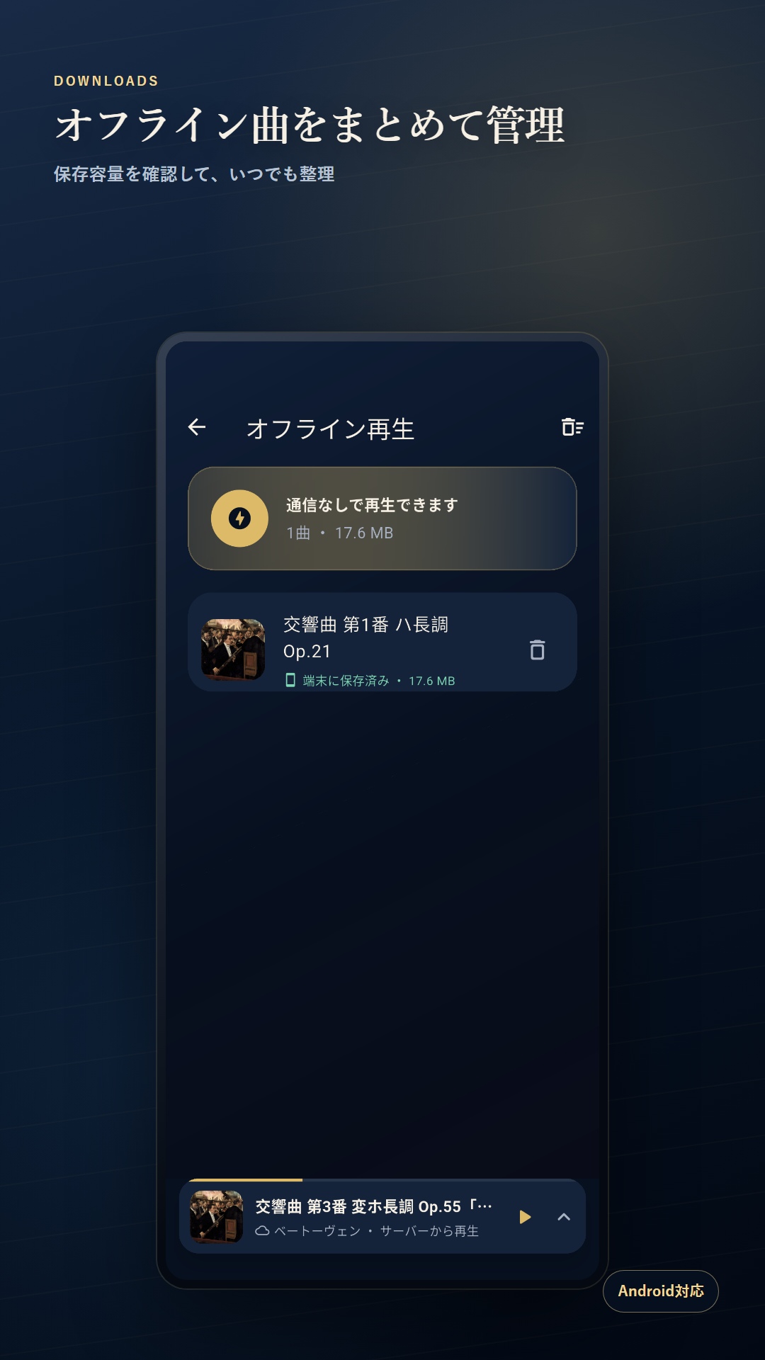 ダウンロードした音楽と使用容量を管理する画面